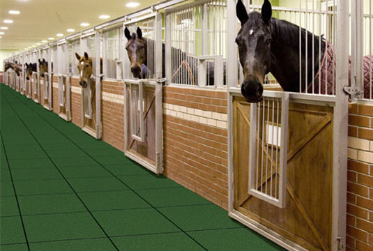 Horses in stables with Equitile rubber pavers