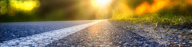 Sunlight shining through the trees on a rubber paved road