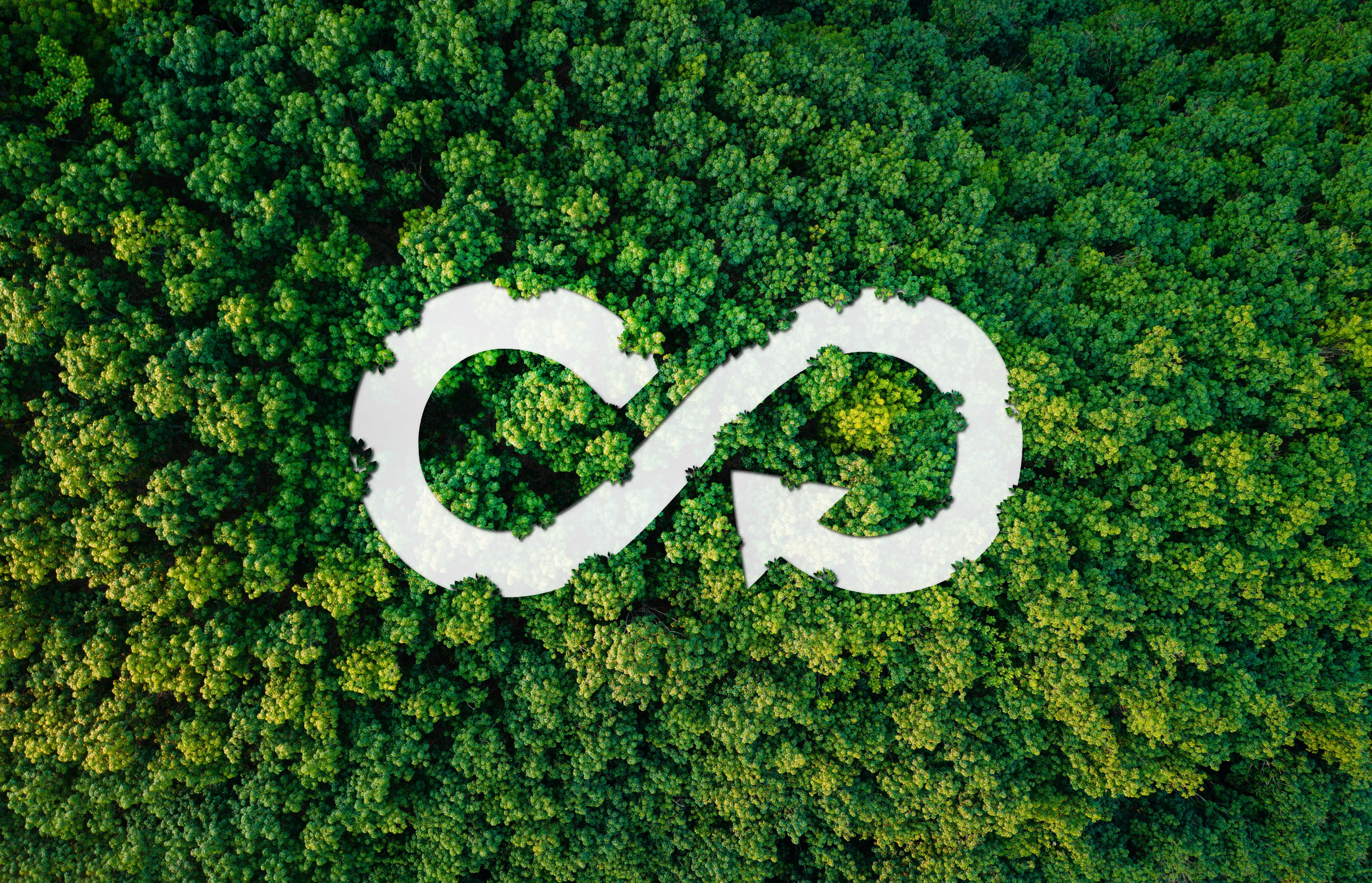 Liberty Tire Recycling - Circular Economy Trailblazer Award